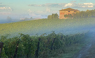 Terra di Seta tuscany winery